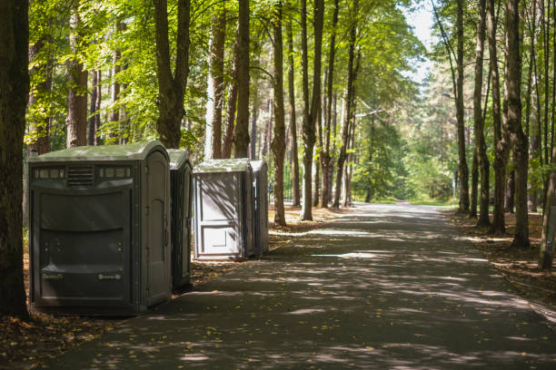 Portable Toilet Options We Offer in Spring Valley, WI